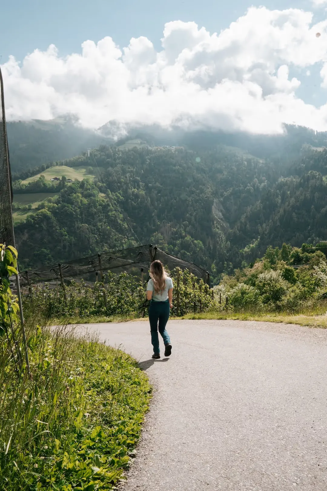 I dintorni dell’Aktiv Lodge vicino a Merano