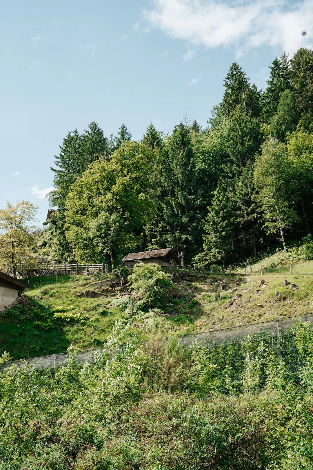 I dintorni dell’Aktiv Lodge vicino a Merano